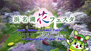 浜名湖花フェスタinはままつフラワーパーク News