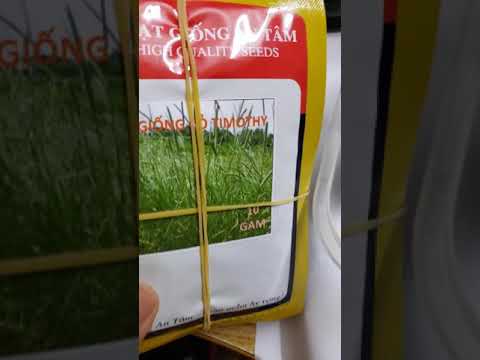Video: Cây cỏ đồng cỏ timothy