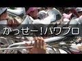 大阪桐蔭 かっせー！パワプロ 根尾  応援歌 2018夏 第100回 高校野球