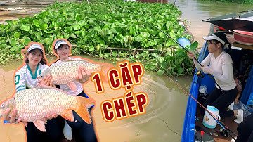 Tập 59 | Hai Cô Gái Câu Cá Trên Sông Đồng Nai | Two Girls Fishing On Dong Nai River | VY HAN FISHING