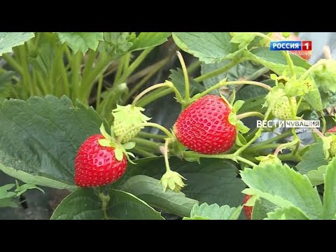 О событиях уходящей недели в программе "Местное время. Воскресенье"