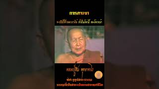 การภาวนาจะเป็นที่พึ่งของเราได้ ทั้งในโลกนี้และโลกหน้า #หลวงปู่สิม_พุทธาจาโร #ธรรมะสอนใจ #ธรรมะสุขใจ