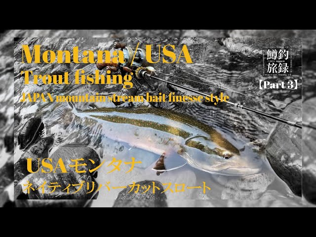 Montana🇺🇸 Trout Fishing Good River Cut Throat - JAPAN mountain