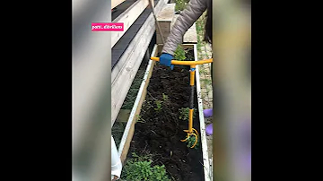 КАК САЖАТЬ ЛАНДЫШИ?