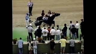 1999 Scioto Downs ULTIMATE MESSAGE Jim Pantaleano OHSS 4-5YO Trot $12,500