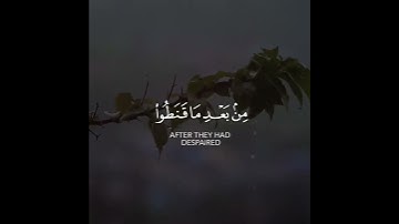 وهو الذي ينزل الغيث من بعد ما قنطوا وينشر رحمته وهو الولي الحميد | سورة الشورى | القارئ ياسر الدوسري