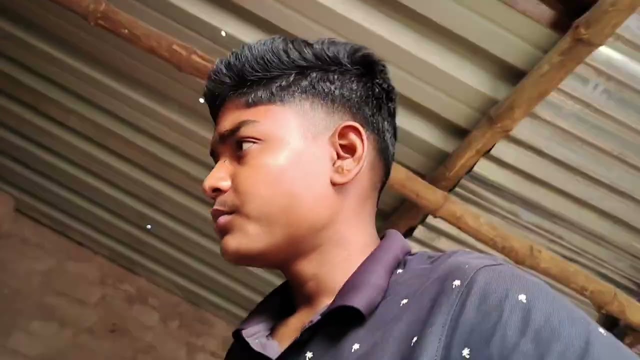 ପାରା କର କଣ ହେଲା ସବୁ vlogs @odia pet vloga