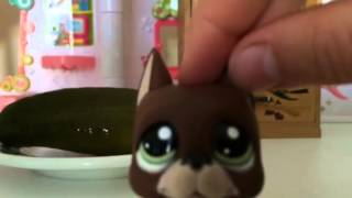 Lps: Lets Get Random #2 by Olga Eriksson 2,941 views 10 years ago 13 minutes, 37 seconds