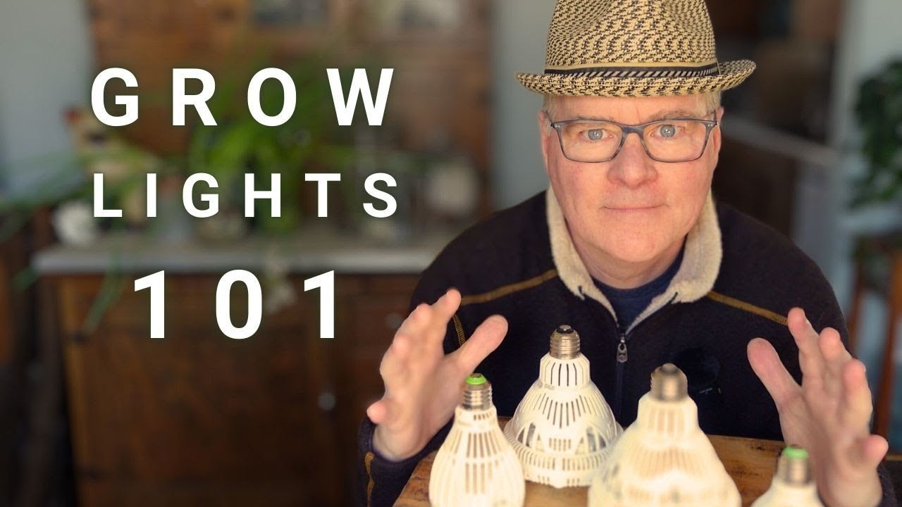 Grow Lights for Beginners + SANSI slays it with NEW bulb