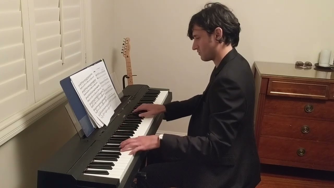 Prelude in b minor - Bach/Saloti (Malek)