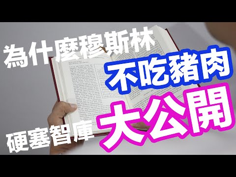 穆斯林不吃豬肉的原因大公開！｜硬塞智庫 Inside Think Tank