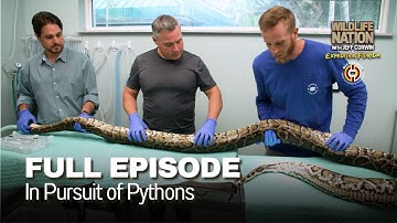 In Pursuit of Pythons-  FULL EPISODE | S1