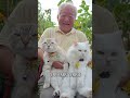 Lucu Banget! Dua Kucing Ini Pasti Berantem Tiap Mau Foto Sama Kakek #shorts