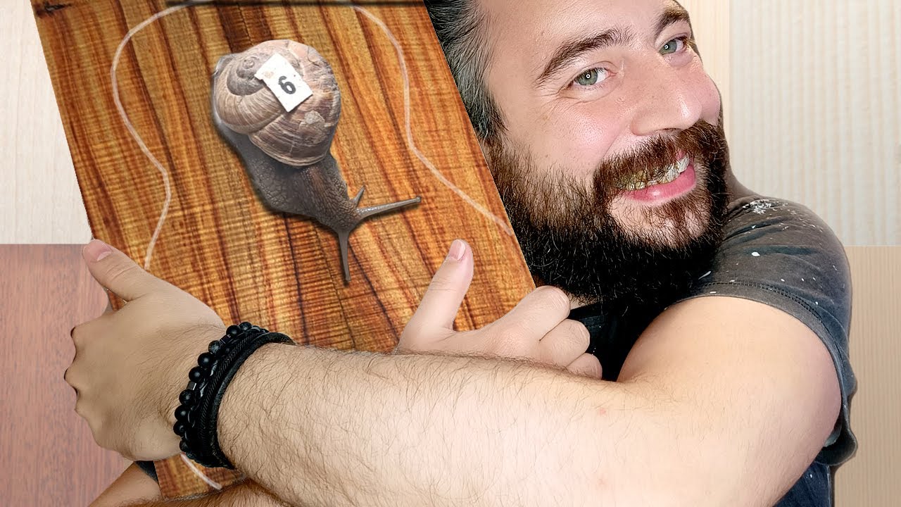 GİTARDA KULLANILAN AĞAÇLAR (Elektro Gitarımızı Tanıyalım)