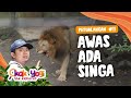 Kak yogi the explorer 11 awas ada singa