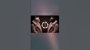 Thumbnail of Because The  Night-Tiscore x Ayda Rastgoo  #music #pop #remix #goodmusic #lyrics #becausethenight