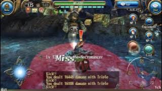 1H fu build by Arewzo (Lv125) -Toram Online