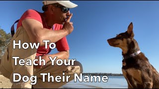 How To Teach Your Dog Their Name