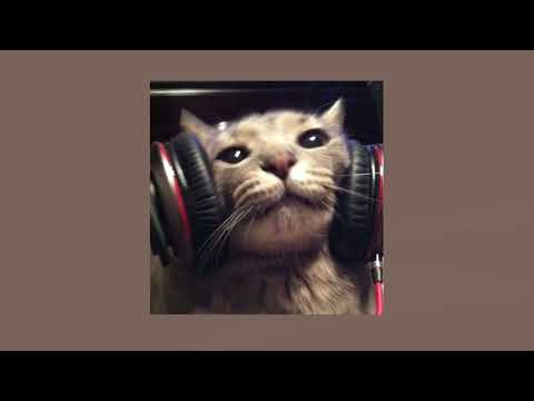 She Knows By Ne Yo Ft Juicy J T Pain Normal Speed 2014 Remix You Got That Auhh