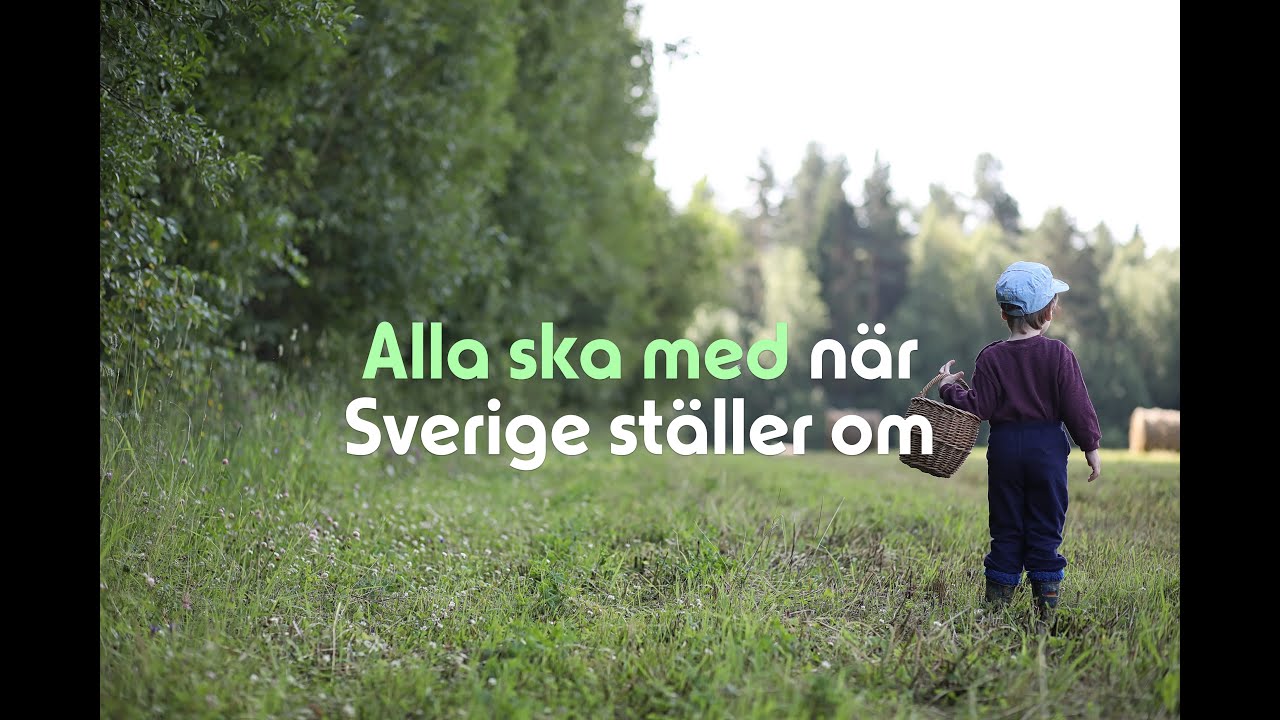 Miljöpartiets valfilm 2022