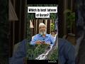 Which Is Best Tafseer Of Quran Drzakirnaik Islamicshorts Tafseer Bayan Ahadees Quran 