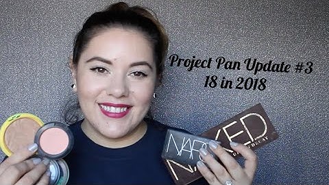 Project Pan Update #3: 18 in 2018!!