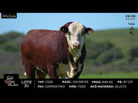 LOTE 021