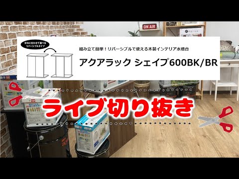 ライブ切り抜き】2023新商品水槽台『アクアラックシェイプ600』 - YouTube