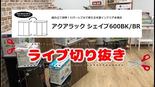 【ライブ切り抜き】2023新商品水槽台『アクアラックシェイプ600』