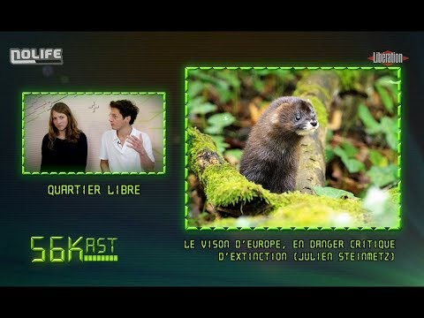 Vidéo: Union internationale pour la conservation de la nature et des ressources naturelles (UICN). Livre rouge de l'Union internationale pour la conservation de la nature. Union internati