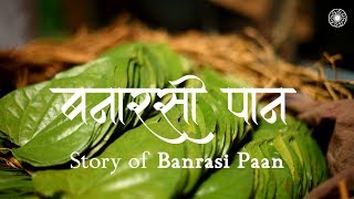 The are of processing betel-leaf or, "banarasi paan' is traditional
culinary practice characteristic varanasi city. banarasi pann very
popular all ...