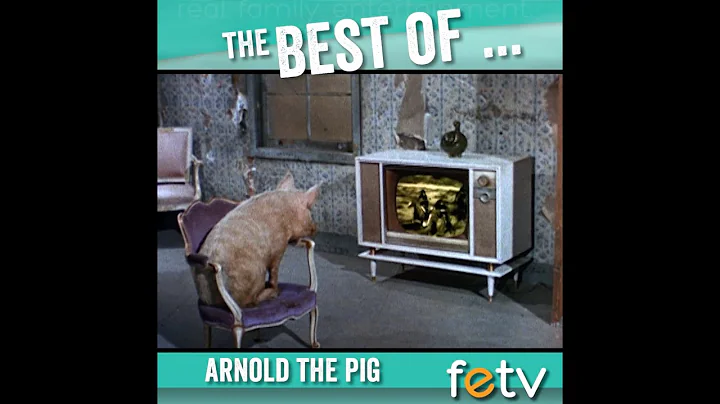 The Best of Arnold the Pig | Green Acres