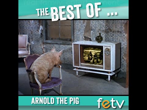 The Best of Arnold the Pig | Green Acres