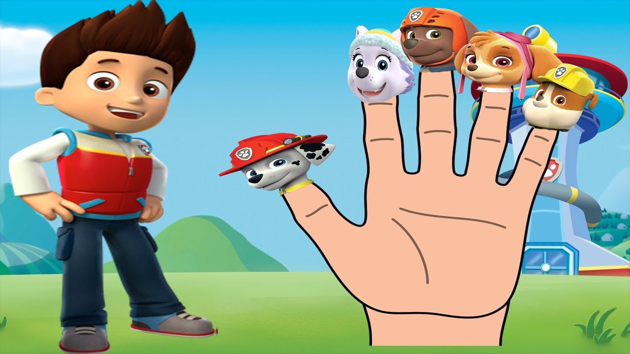 Paw Patrol Finger Family Songs Chase Rubble Skye Marshall Nursery Rhymes You Paw Patrol Finger Family Songs Chase