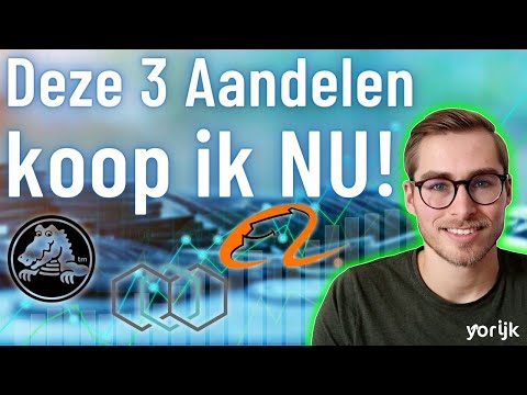 Beste 3 Aandelen Februari 2022 | Dit zijn mijn beste aandelen voor deze maand!