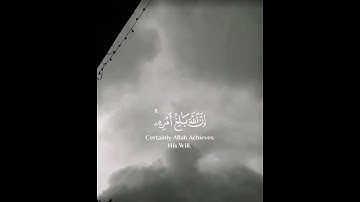 سوره الطلاق - القارئ شريف مصطفى #قرآن