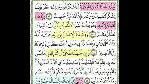 #ولقد آتينا لقمان الحكمة أن اشكر لله# مقطع قرآنى للشيخ عبد الله _غيلان من سورة لقمان.