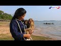 Monkey Kako Family Visit Baray Lake At Siem Reap Province
