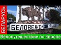 Велопутешествие по Европе. День 38. Беловежская пуща. Беларусь.