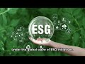 Reshaping Sleep: Green Revolution of Memory Foam | 115-MSE-Introduction to Polymer Materials | NTHU