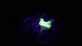 What can you find with a UV light?