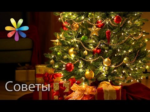 Как выбрать искусственную елку. Лучшие советы «Все буде добре» от 18.12.15