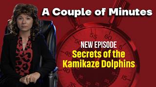 Exposing the Secrets of Kamikaze Dolphins Tonight on A Couple of Minutes