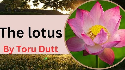 The lotus by Toru Dutt   summary by Divya mam I The lotus by Divya mam