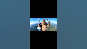 Capybara và cô hàng xóm nhảy dù #capybara #shorts