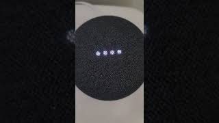 Google Home Vs Alexa Is Kale Good For Your Health 