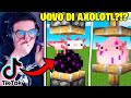 10 TIKTOK *SEGRETI* DA USARE SU MINECRAFT 1.18!!
