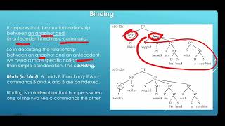 Syntax Chapter 5 Structural Relations