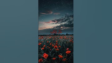 سورة غافر #رعد_الكردي #تلاوة_خاشعة #راحة_نفسية #تلاوة_جميلة