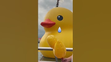 Thumbnail of 1 $ Or Duck? #shorts